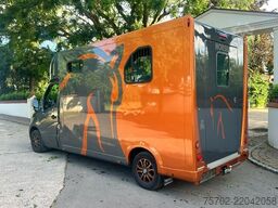 Renault Master Theault 1-2 Pferde