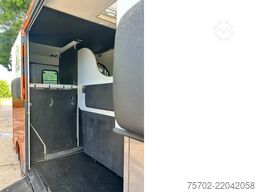 Renault Master Theault 1-2 Pferde