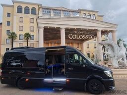 MERCEDES-BENZ Sprinter 319 VIP 8+1