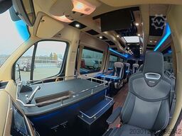 MERCEDES-BENZ Sprinter 319 VIP 8+1