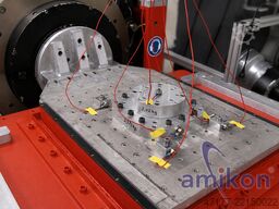 RMS Vibrations Schwingprüfanlage SW 8100/1