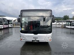 MAN A 26 Lions City LL