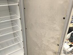 Thermo Fisher Scientific FFGL2330V