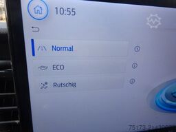 FORD Transit Kasten 350 L3H2 Trend 130PS HA Express