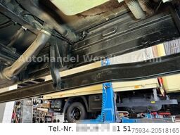 MERCEDES-BENZ Vario 814D Diff Klima Standh120km/h restauriert