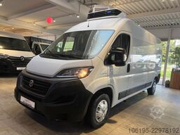 FIAT Ducato 2.3 Kühlkasten*Ladebordwand*Garantie