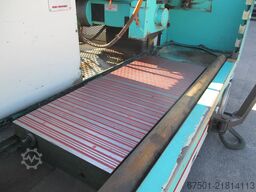 Rosa Iron 12.6  (3483)