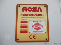 Rosa Iron 12.6 (3483)