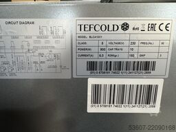 TEFCOLD BLCA10X1