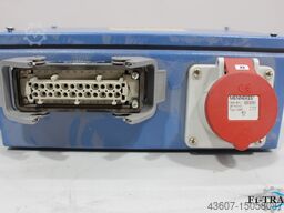 MBO MS / MC
