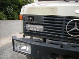 UNIMOG Unimog U1250 mit Kran