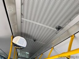MERCEDES-BENZ Citaro O 530 KLIMA 260 KW Neulack TOP