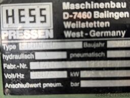 Hess Economic
