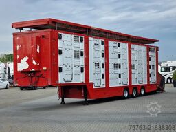 Finkl SAV35 - 3 deck Livestock - Water & Ventilation ...