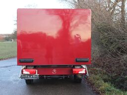 MERCEDES-BENZ Sprinter 311 Euro 6 Cold Car -33°C ATP 09/29