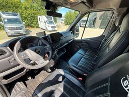 RENAULT Master STX 3 Sitzer  Haras / Hengste