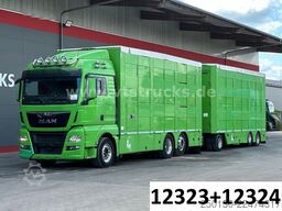 MAN TGX 26.440 6x2 3.Stock Cuppers Komplett-Zug
