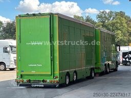 MAN TGX 26.440 6x2 3.Stock Cuppers Komplett-Zug