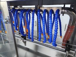  Seema