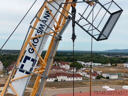 LIEBHERR Kran 160 HC-L 8/16