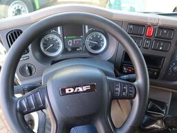 DAF LF 250 LF250 FA Schuifzeil +Dhollandia 1500 kg