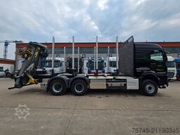 MAN TGS 33.520*TAJFUN HOLZLADEKRAN-FUNK*STAHLSCHEMEL