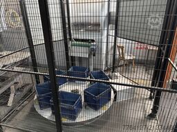 Salvagnini S4Xe.40, P4lean-3220, SiX-ACN & H-Regal