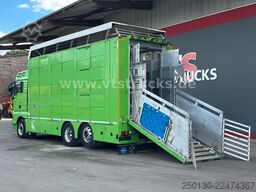 MAN TGX 26.440 6x2 3.Stock Cuppers, Lenk-/Lift