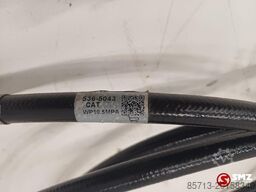 Caterpillar Hose Caterpillar