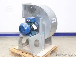 Coral PAP HP20