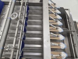 Affeldt counter + vertical packaging machine