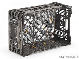 Kruizinga 99-6287GB-PAL