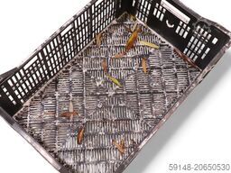 Kruizinga 99-6287GB-PAL