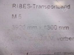 Ribes M 5