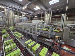 Robopac Tray Packer