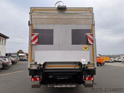 Rohr RZK/18 IV Kühlkoffer Carrier Bär LBW