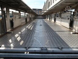 Berdex OV. 1227  - Pigs Transport - 2, 3, 4 Floors