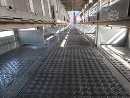 Berdex OV. 1227  - Pigs Transport - 2, 3, 4 Floors