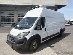 FIAT DUCATO 250 KüHLTRANSPORTER
