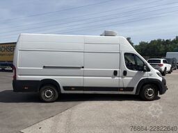 FIAT DUCATO 250 KüHLTRANSPORTER