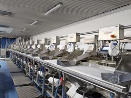 Marel 24-Station Fish Flowline + OptiWeigher