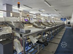 Marel 24-Station Fish Flowline + OptiWeigher
