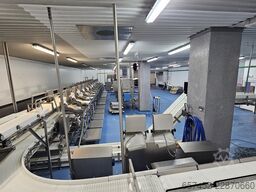 Marel 24-Station Fish Flowline + OptiWeigher
