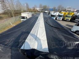 STAS bioSTAR 91,3 cbm