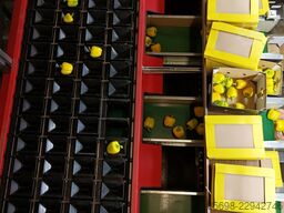 AWETA G4-14-1