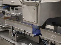 MHS ICC 28S fixed weight portioning machine