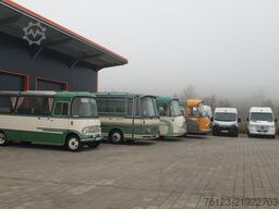 Opel Movao Fiat Ducato Systemboden Rolli