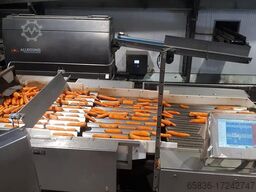 Newtec CELOX optical sorting machine