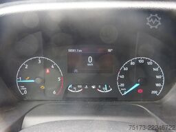 FORD Transit Kasten 350 L4H3 Trend
