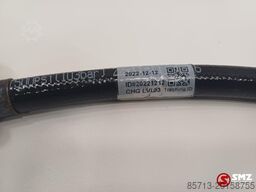 Caterpillar Hose Caterpillar